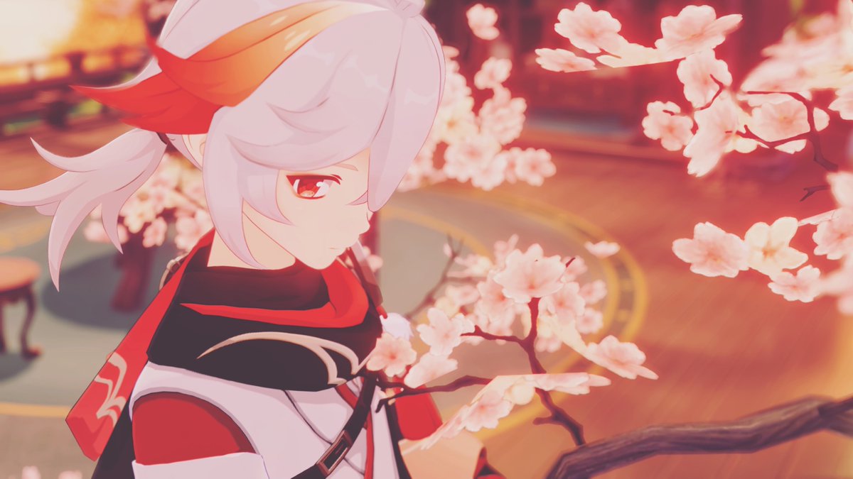 Sana︎︎/睦月サナ【原神写真部】 tweet media