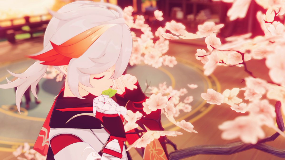 Sana︎︎/睦月サナ【原神写真部】 tweet media