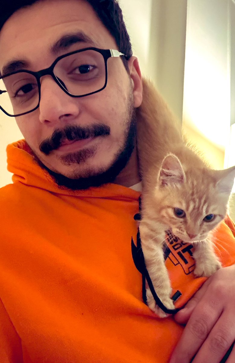 يا جماعة القط العسول ده "سيمبا" عنده ٣ شهور عالجته وعملتله كارت متابعة وجاهز ياخد التطعيم .. شقى وغاوى لعب وتنطيط بس غلبان اوى وبيتعلق بالناس بسرعة وكان بياكل كل حاجة ومتعود ع الليتر بوكس ..لو حد يحب ياخده تبنى بس هيحافظ عليه كويس ويعتبره عيل من عياله ياريت يعرفني (في القاهرة)