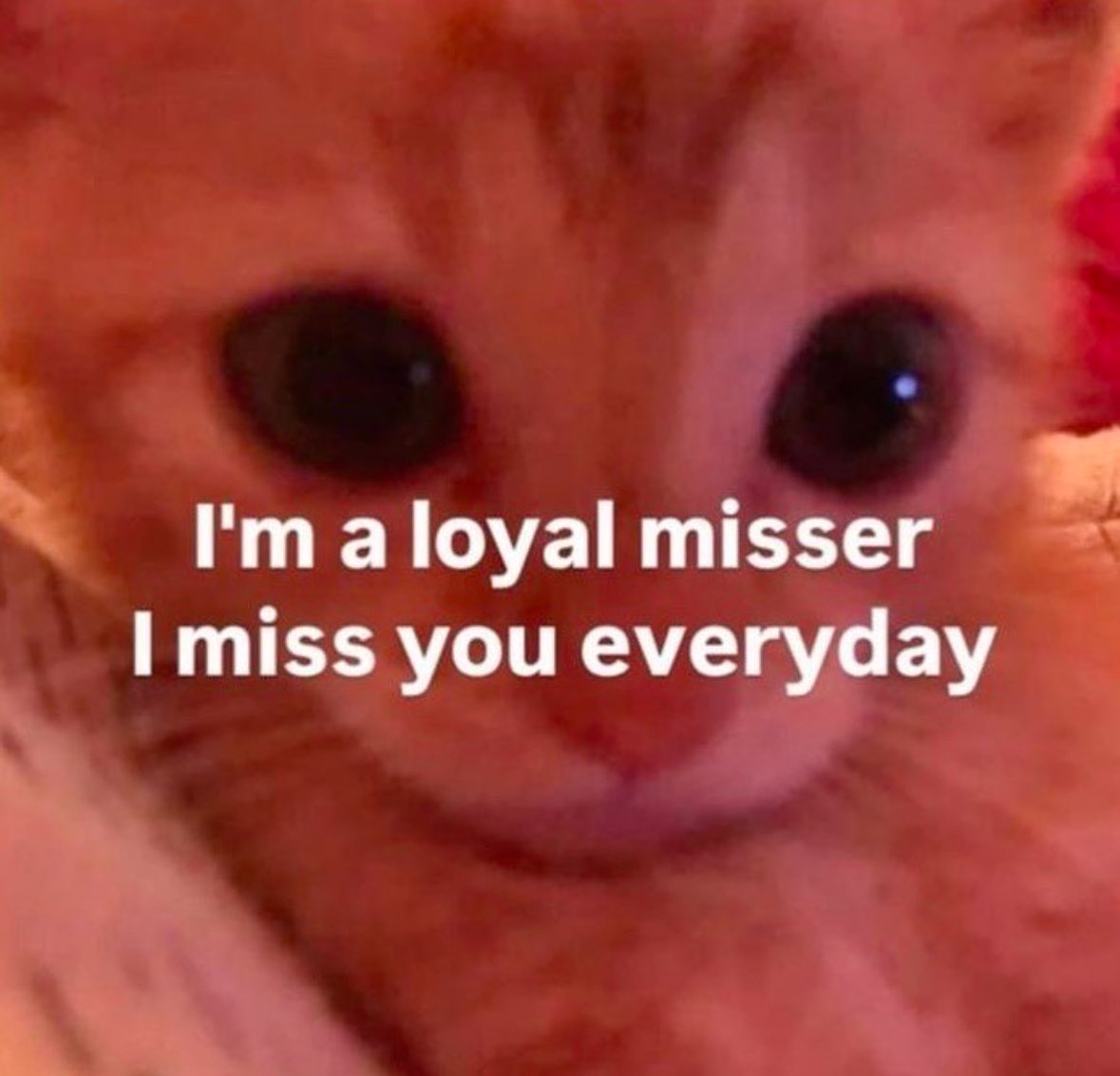 _mymsg's tweet image. 