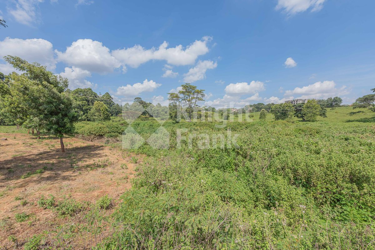 KnightFrankKE's tweet photo. Unlock endless possibilities with this 3 acre #commercialplot #forsale in Thogoto, #Karen. Bordering the Southern Bypass, the freehold plot has excellent #redevelopment potential with good drainage, red soil, and easy access to power and water. Read more: https://t.co/5du8m4walF https://t.co/vdzl7xvaHh