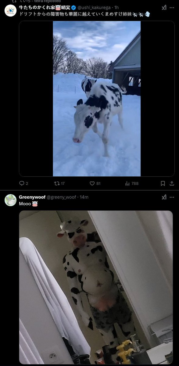 Max / Meoxie tweet media