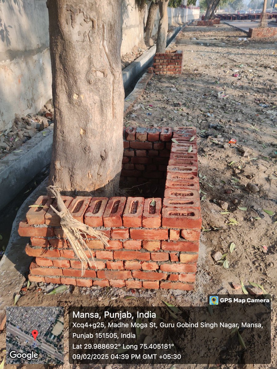 Er. Kapil Arora (@erkapilarora) on Twitter photo .<a href="/RailMinIndia/">Ministry of Railways</a> <a href="/RailwaySeva/">RailwaySeva</a> ... Since last two years, we have been requesting to remove cement concrete around one meter radius of trees at Mansa Railway Station but #IndianRailways is dedicatedly damaging the Environment by violating the Environment Norms and NGT directions. .<a href="/RailMinIndia/">Ministry of Railways</a> <a href="/RailwaySeva/">RailwaySeva</a> ... Since last two years, we have been requesting to remove cement concrete around one meter radius of trees at Mansa Railway Station but #IndianRailways is dedicatedly damaging the Environment by violating the Environment Norms and NGT directions.