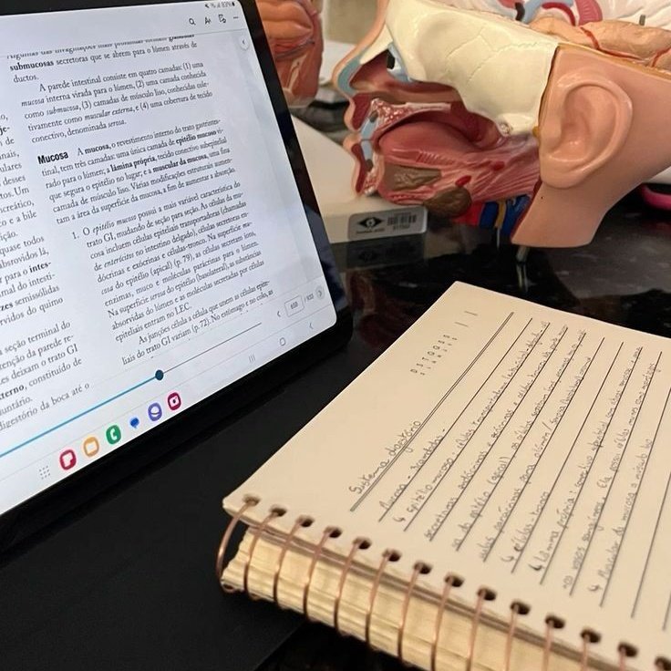 dede ✧･ ESTUDA: DEDEMED tweet media