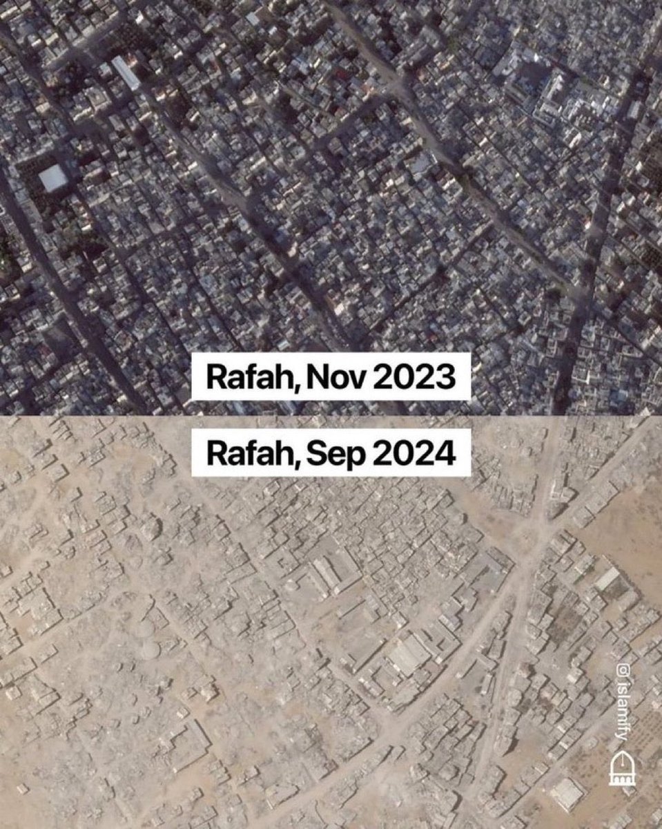 Karim Wafa-Al Hussaini tweet media