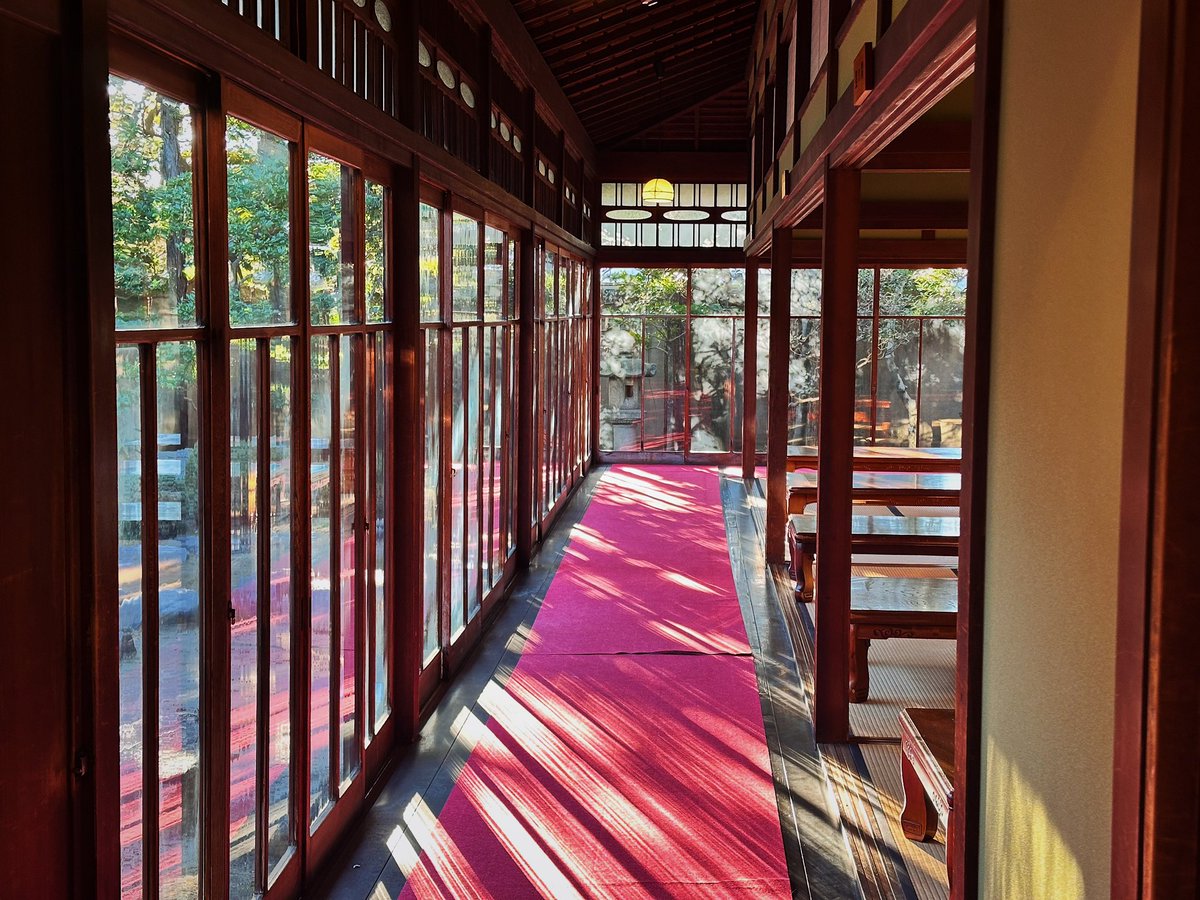 ferdalangurinn's tweet image. моё любимое место для распития чая в Токио такое:
— сколько вам нужно солнечного света?
— ДА.
(и это хорошо)