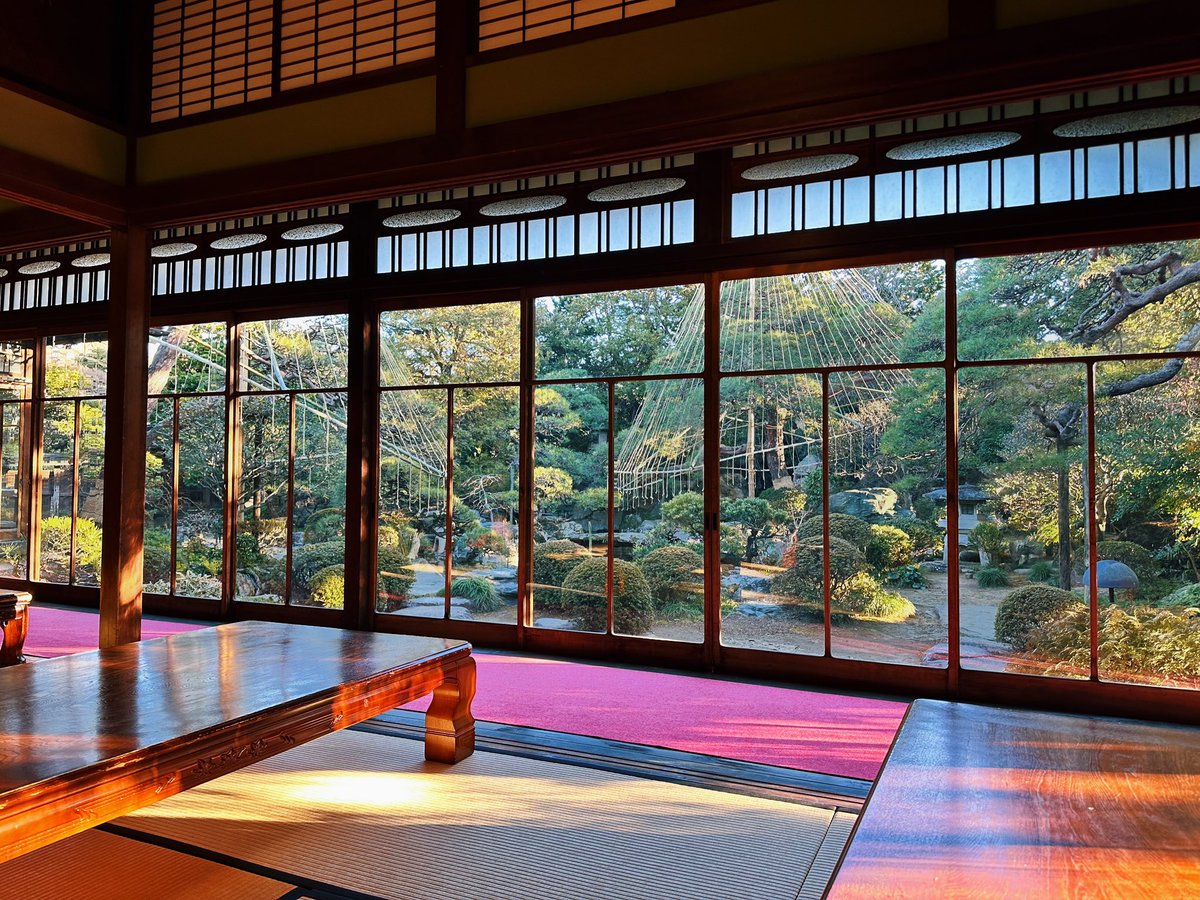 ferdalangurinn's tweet image. моё любимое место для распития чая в Токио такое:
— сколько вам нужно солнечного света?
— ДА.
(и это хорошо)