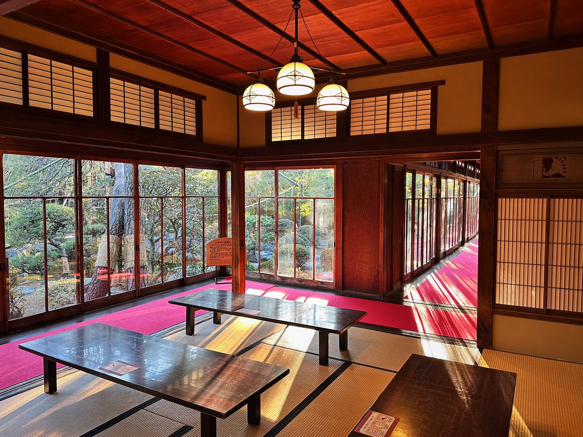 ferdalangurinn's tweet image. моё любимое место для распития чая в Токио такое:
— сколько вам нужно солнечного света?
— ДА.
(и это хорошо)