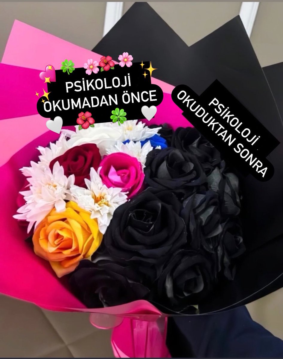 Psikolog Elif✨ tweet media