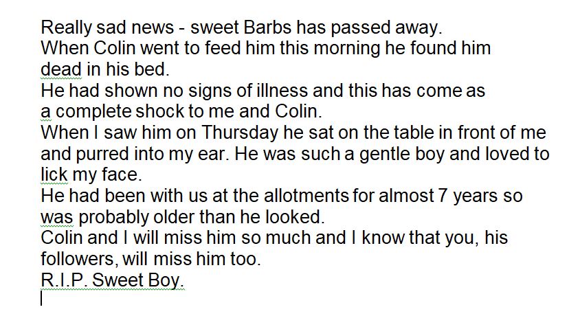 Robert Allotment cat,now helped by Janet & Amanda tweet media