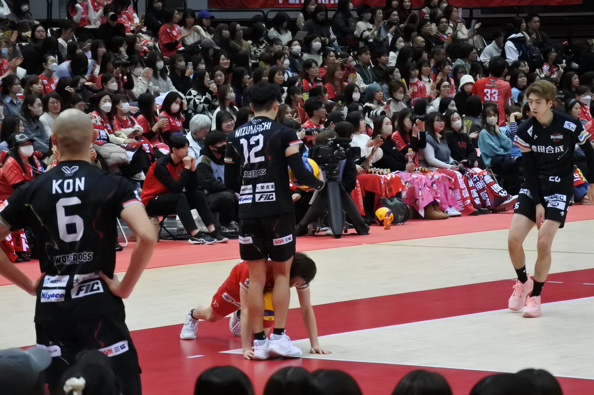 ftxet2's tweet photo. 2025.02.09
vsサントリーサンバーズ大阪

水町くんの足元に滑り込んできた市川くん笑その後ボール飛んできて直撃してた？🤫

 #市川健太 選手
 #水町泰杜 選手 https://t.co/kpVzXnD4lq