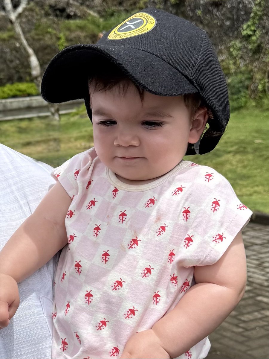 JamesRayXRP | Schmeckles tweet media