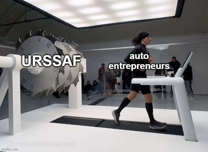 Memes libertariens 🐍 (@memes_libs) on Twitter photo 
