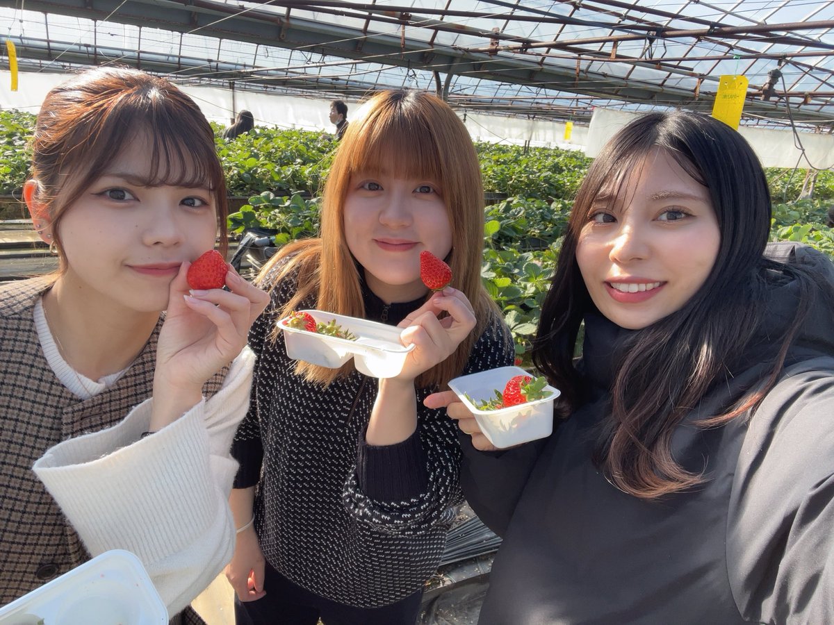 チャンさん (@chan_zuhon) / Posts / X