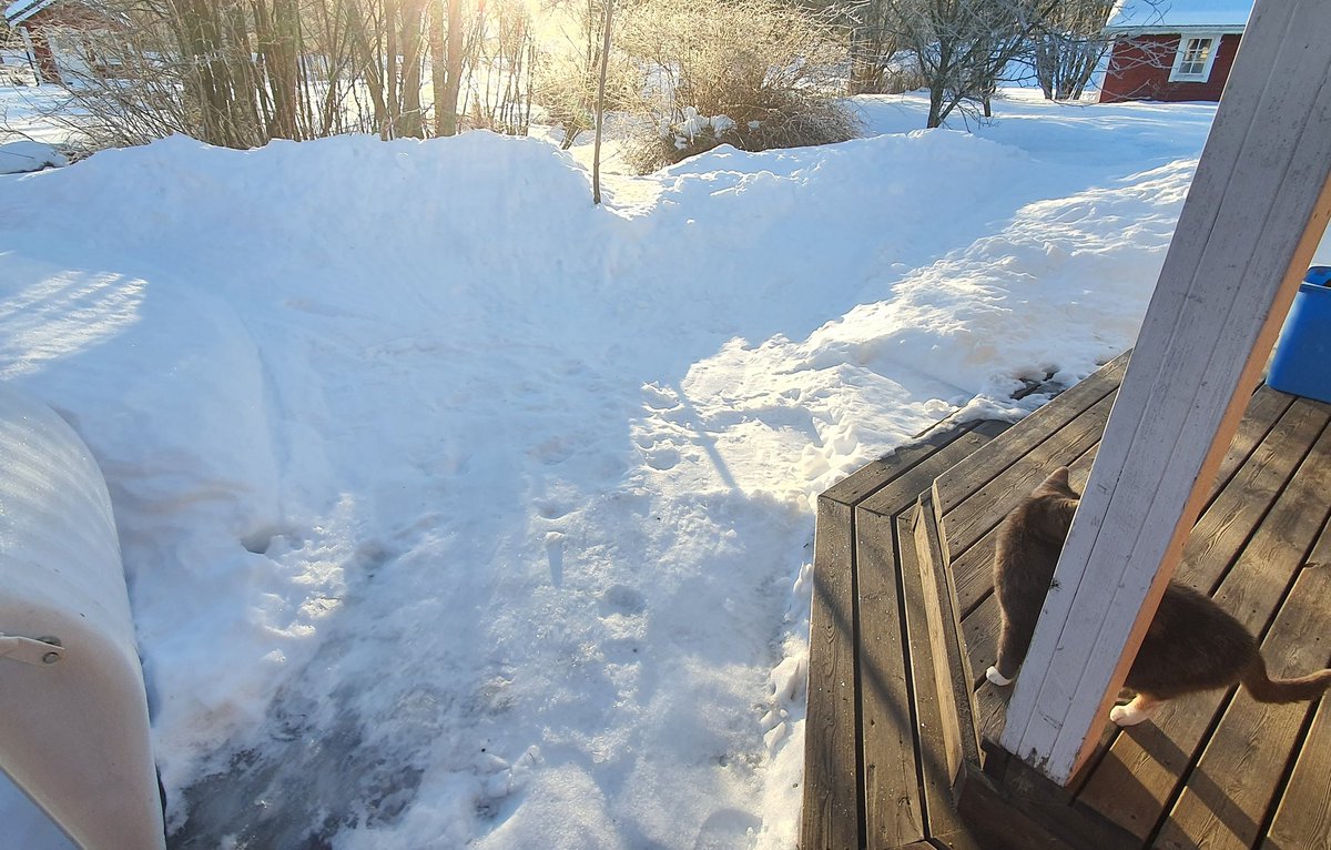 JohanOrdf's tweet image. Snöhögen 2025™
Nu startar tävlingen för i år - Svåraste året någonsin!
Mindre snö och massor av tö.
Snöhögen ligger i söderläge.
Reglerna är att den ska vara helt borta. Jag är enväldig domare.
#Johanssnöhög2025