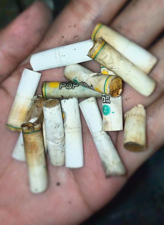 paudjerapah tweet media