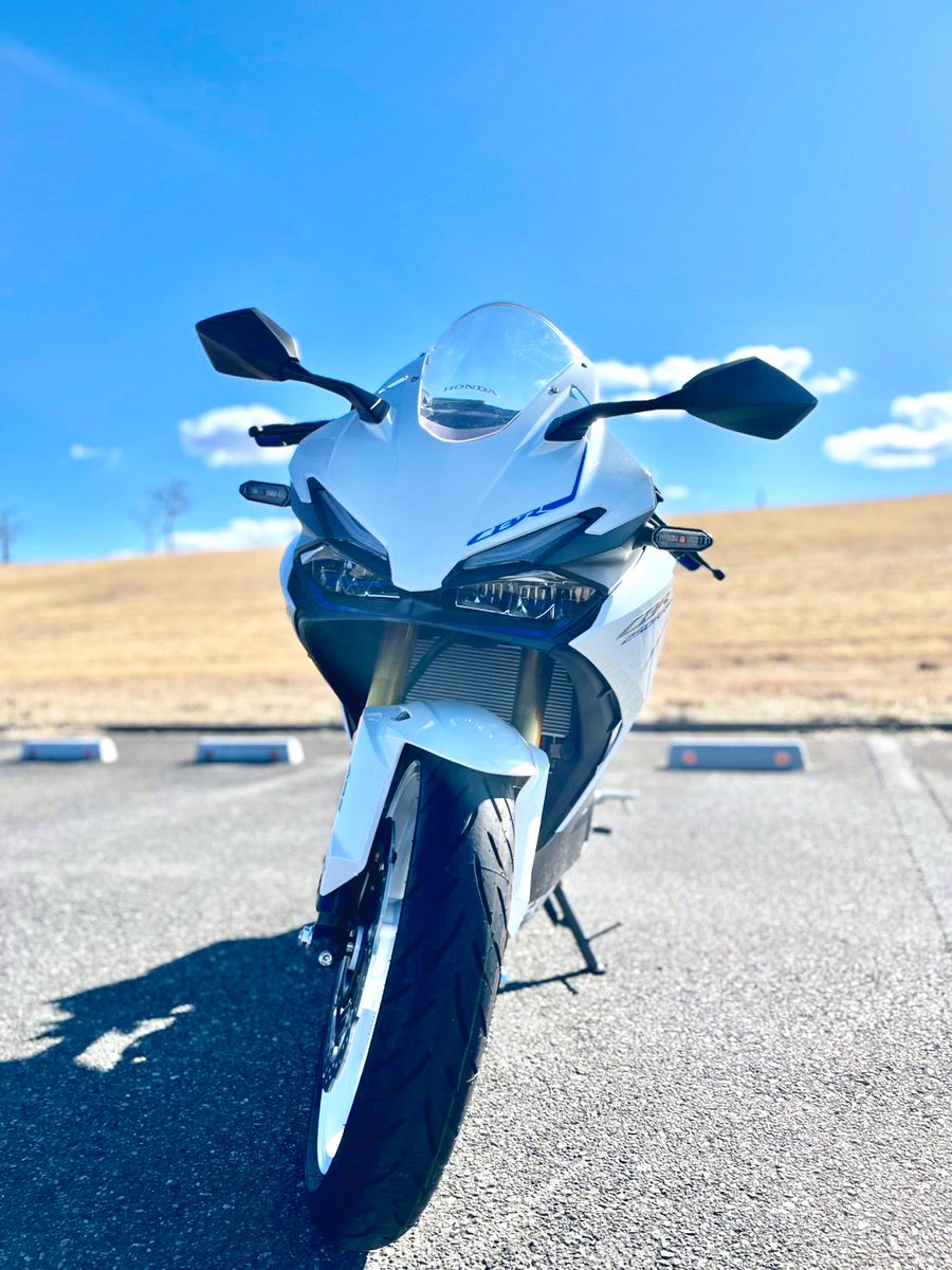 Rさん🐰 tweet media