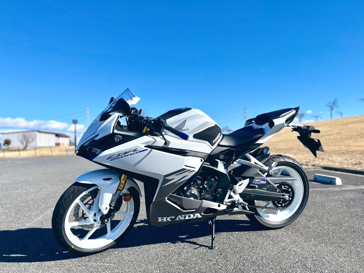 Rさん🐰 tweet media