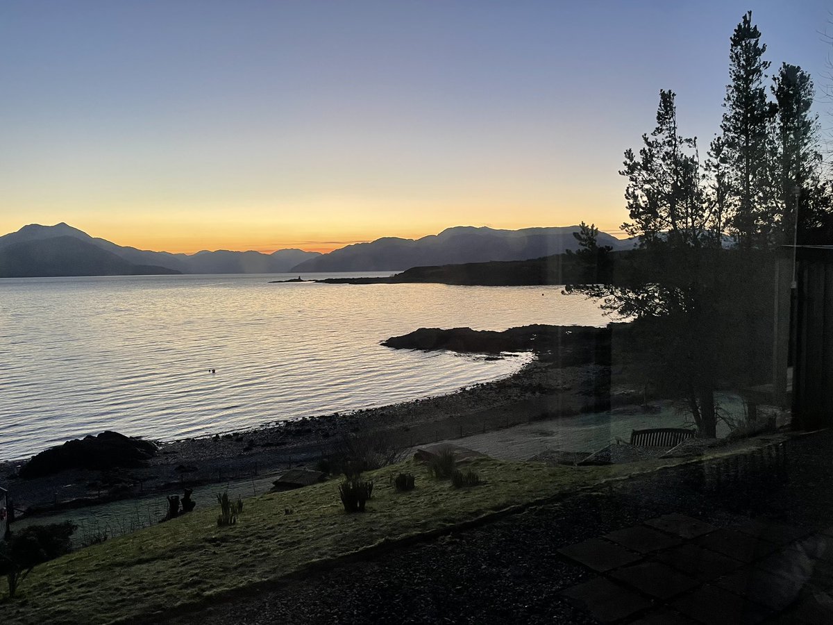 Simon Miesegaes tweet media