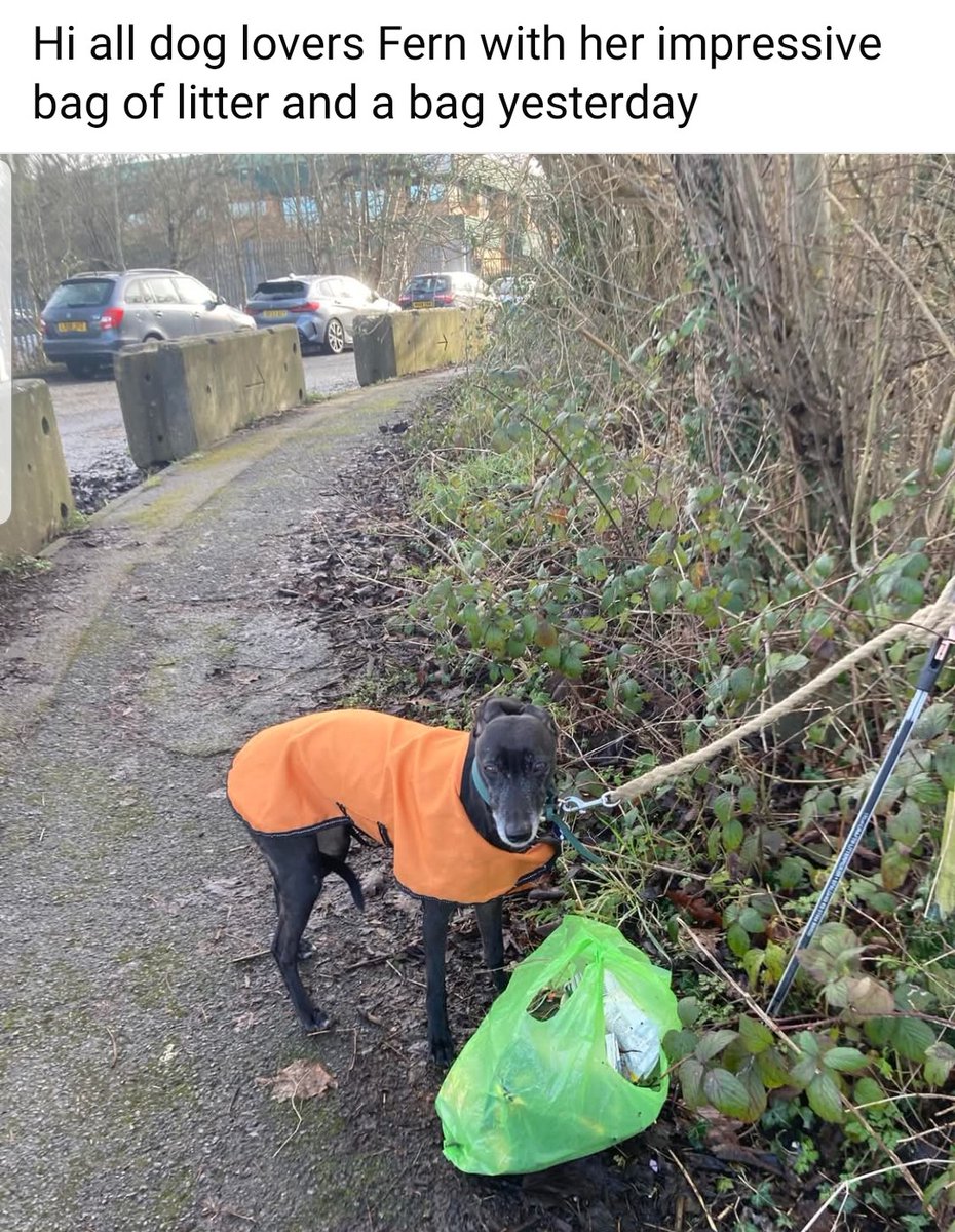 Another collection from Sherwood ward #litterheroes #litterpicking #tunbridgewells #sherwood