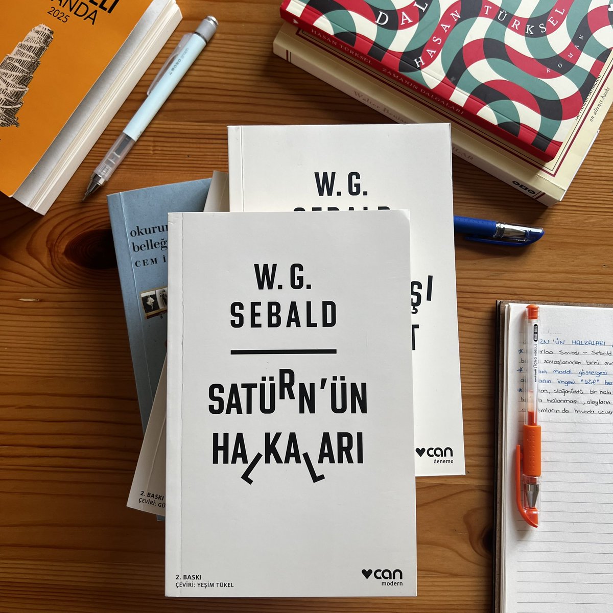 "Ne yazık ki ben sonsuza dek düşüncelerle cebelleşmeye mahkûm bir insanım. Aslında biz hepimiz yaşama becerisi olmayan hayalperestleriz...Bazen sanki biz bu dünyada hiç var olmamışız ve hayat da sürüp giden büyük ve açıklanamaz aptalca bir hataymış gibi geliyor."

✨