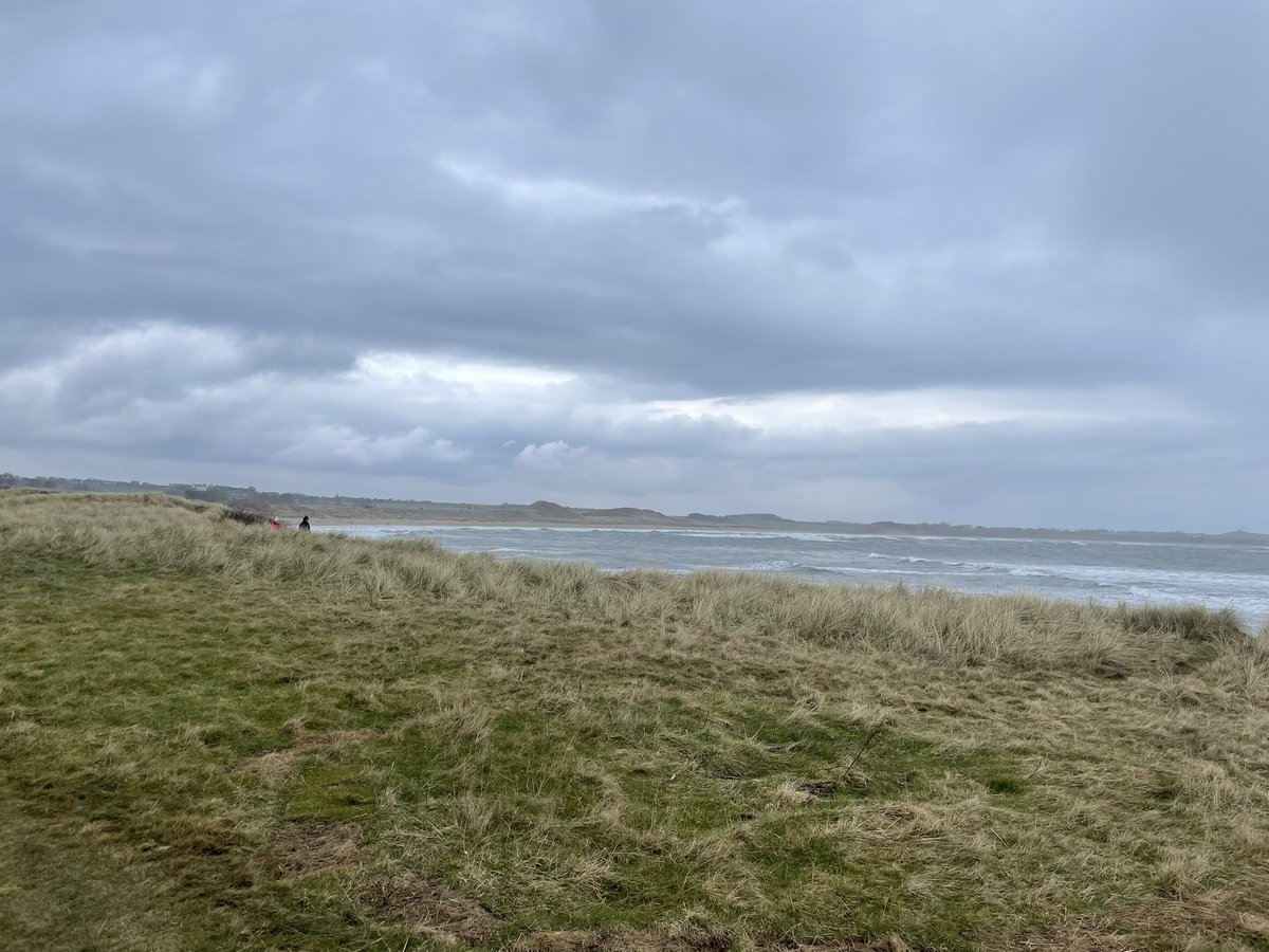 Golf North East tweet media