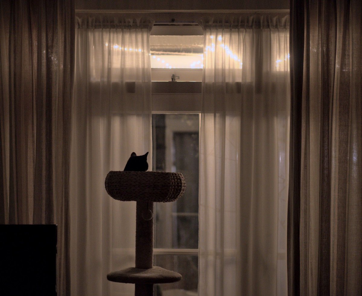 Groeten uit Oss 📷 🇺🇦 tweet media