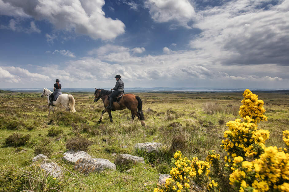9 façons de passer la Saint-Valentin sur l'île d'Irlande 💚

Vous voulez en savoir plus ? Consultez notre guide ultime de la Saint-Valentin pour tous les détails : ireland.com/fr-fr/magazine…

📍An Sibin Equestrian Centre, Derroran, Comté de Clare