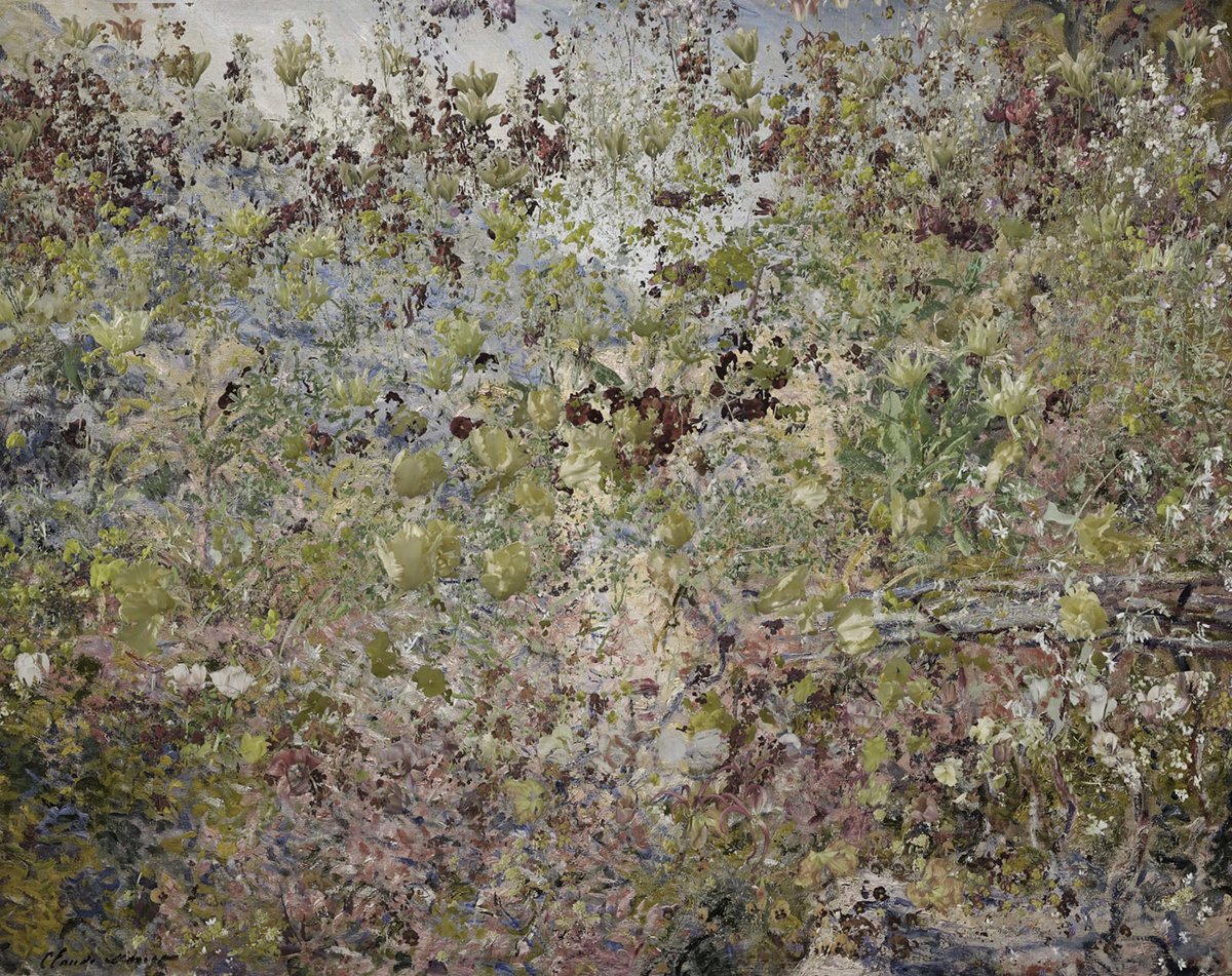 PHOTOFAIRS tweet media