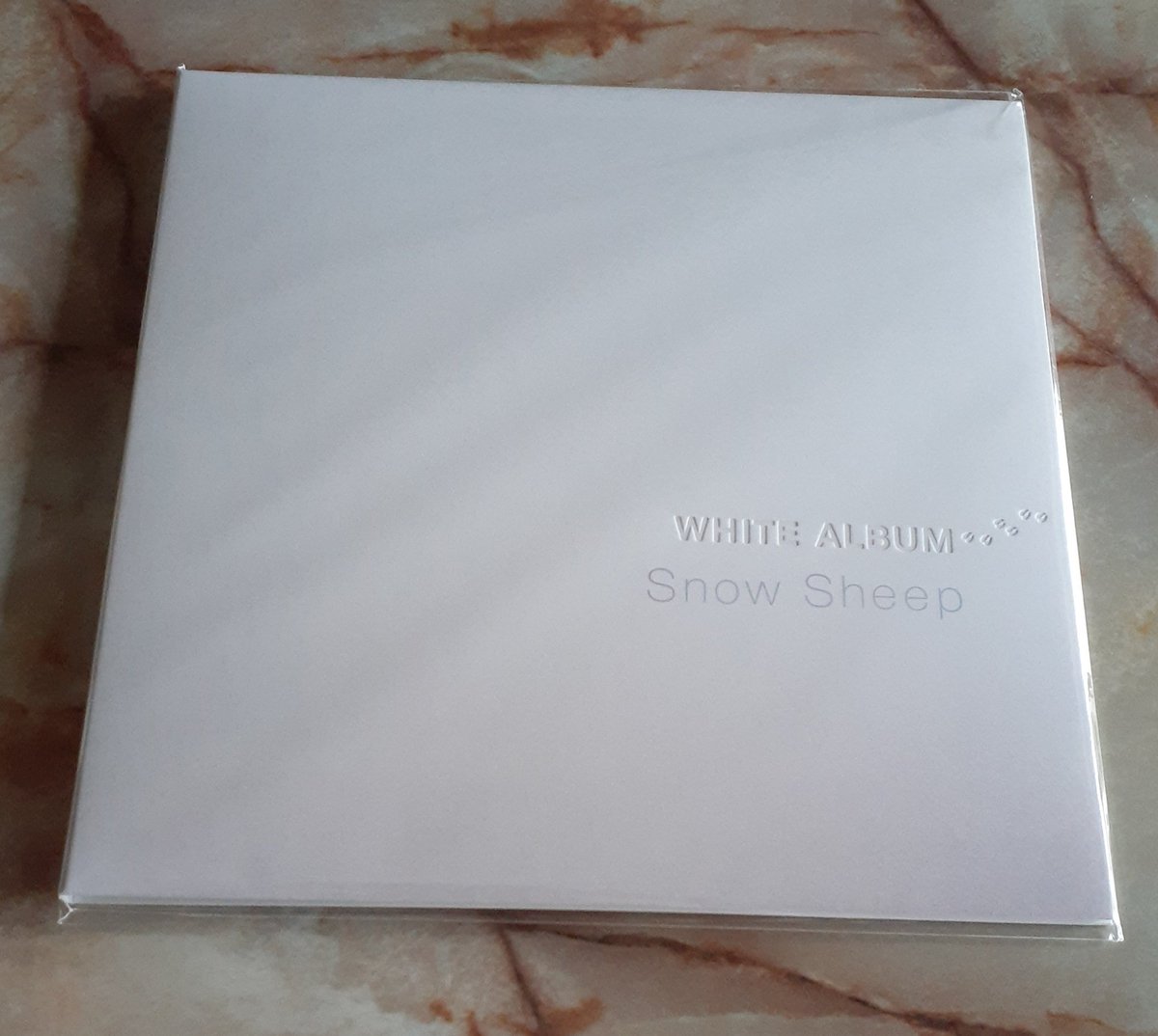 goodboygootra's tweet photo. 諸事情で『ブクラジ』が聴けなかった代わりにSnow Sheepの『White Album』を。
「Frozen Heaven」が大好きなのですが、そこからしっとりボッサな「Cloudy Bossa」でのしのさんの歌声、さらに「A Way To The Northland」の3曲の流れが今日は特に胸に来ました🎵
#近藤健太郎
#小林しの
#高口大輔 https://t.co/SUPW3Iqq1U