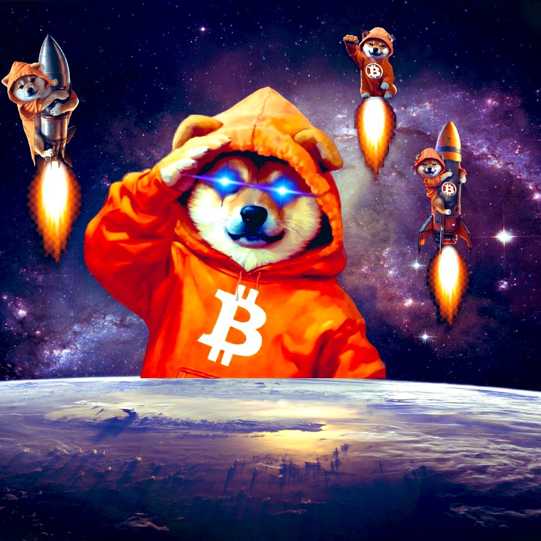 Leonidas 🧡 $DOG tweet media