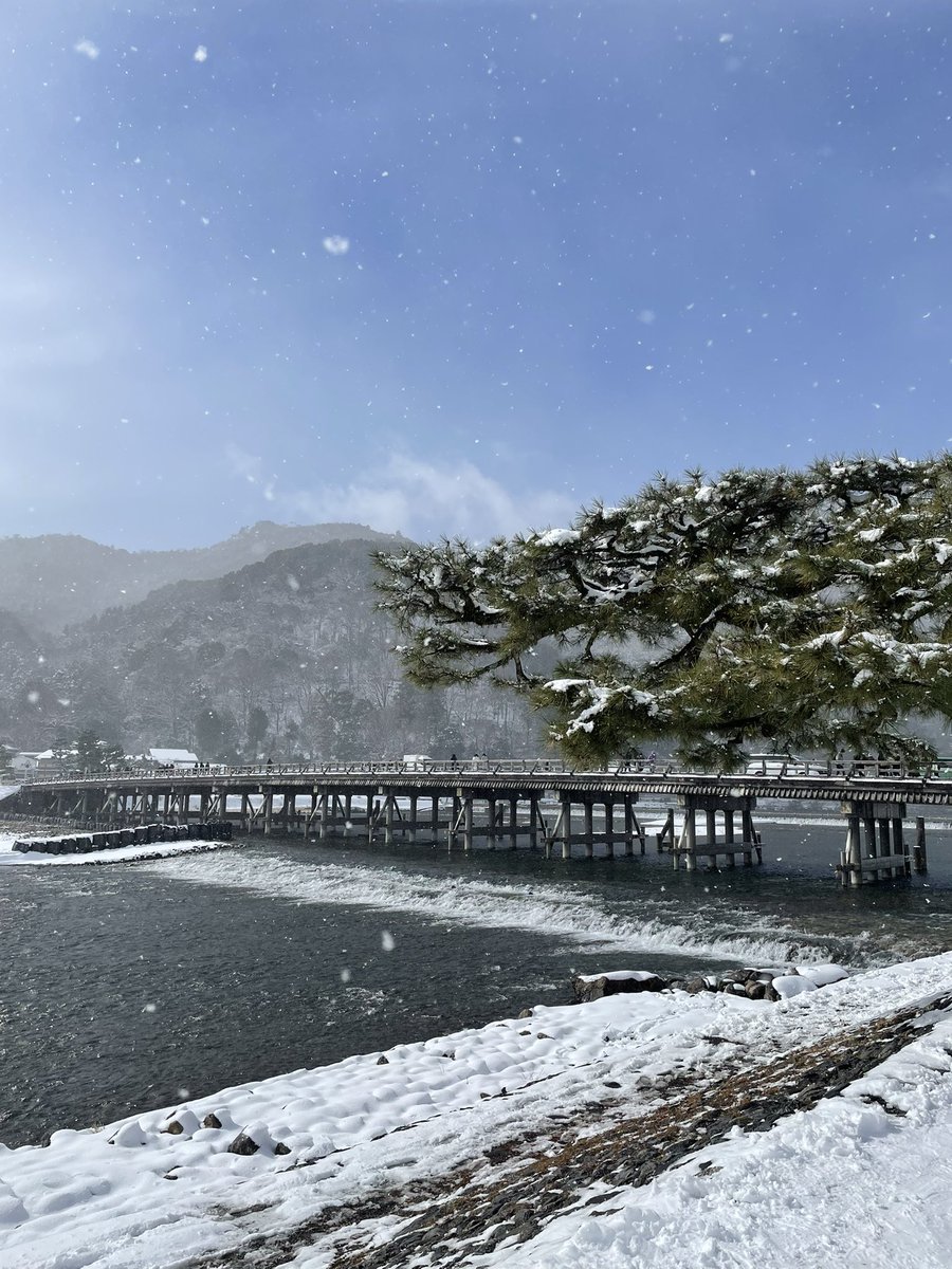 sagagrace1's tweet photo. スタッフです。
昨日の嵐山です。
雪一面の渡月橋と天龍寺、竹林の小径です。
普段と違う一面が見れて良かったです。
#嵐山
#京都
#嵯峨嵐山
#渡月橋
#京都観光
#天龍寺
#竹林
#竹林の小径
#arashiyama
#Kyoto
#Tenryu-ji temple
#Bamboo forest
#Kyoto trip
#Togetsukyo bridge https://t.co/9TcuaJcdXc