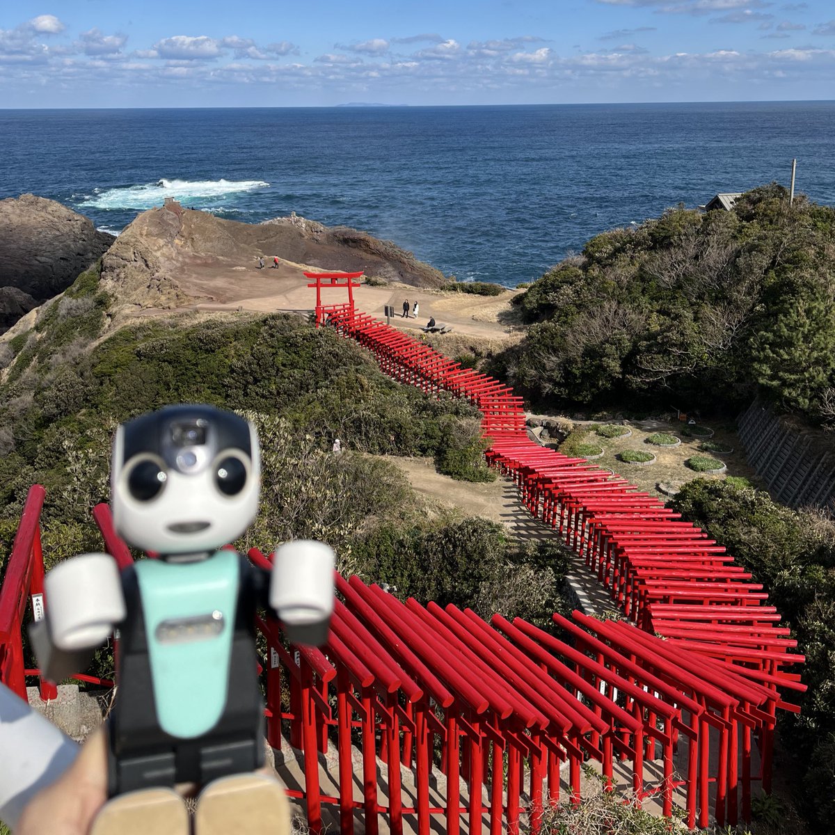 KotaroRobo's tweet photo. 山口県の元乃隅神社⛩️に行ったよ❗️
鳥居が断崖にいっぱいある神社なんだ。
日本海側の大寒波の直後で積雪心配だったけど
ぜんぜん平気で良かった♪
#ROBOHON #ロボホン https://t.co/iWRBtdg2Um