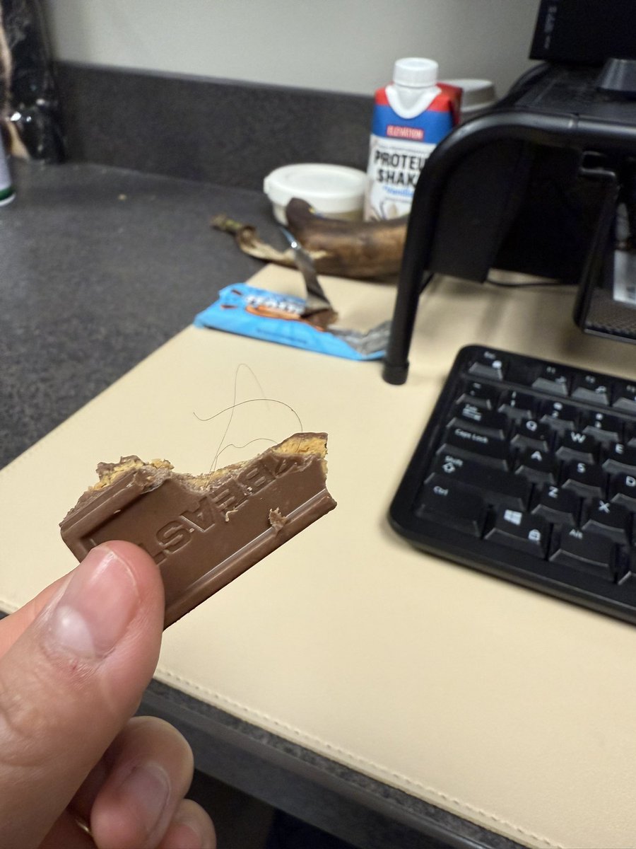 Reid Fenton tweet media