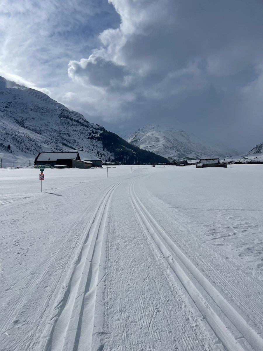 enzomazza's tweet image. #earlyrunning