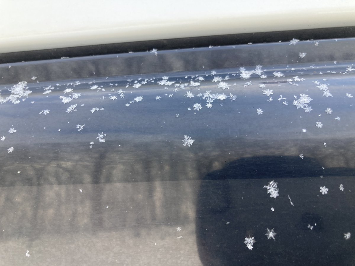 grape_nursery's tweet photo. 寒さネタが好評だったのでもうひとつ。マイナス10℃下回ると雪も結晶キレイだし、畑のガラス戸なんでパリパリです。 https://t.co/srV6dBhDJN