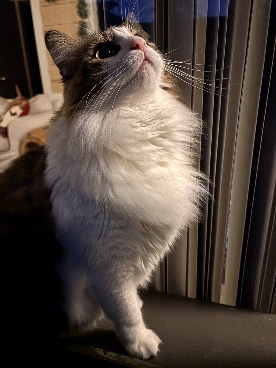 Pump_kyn's tweet photo. Winter ^^ https://t.co/oebURfaS92