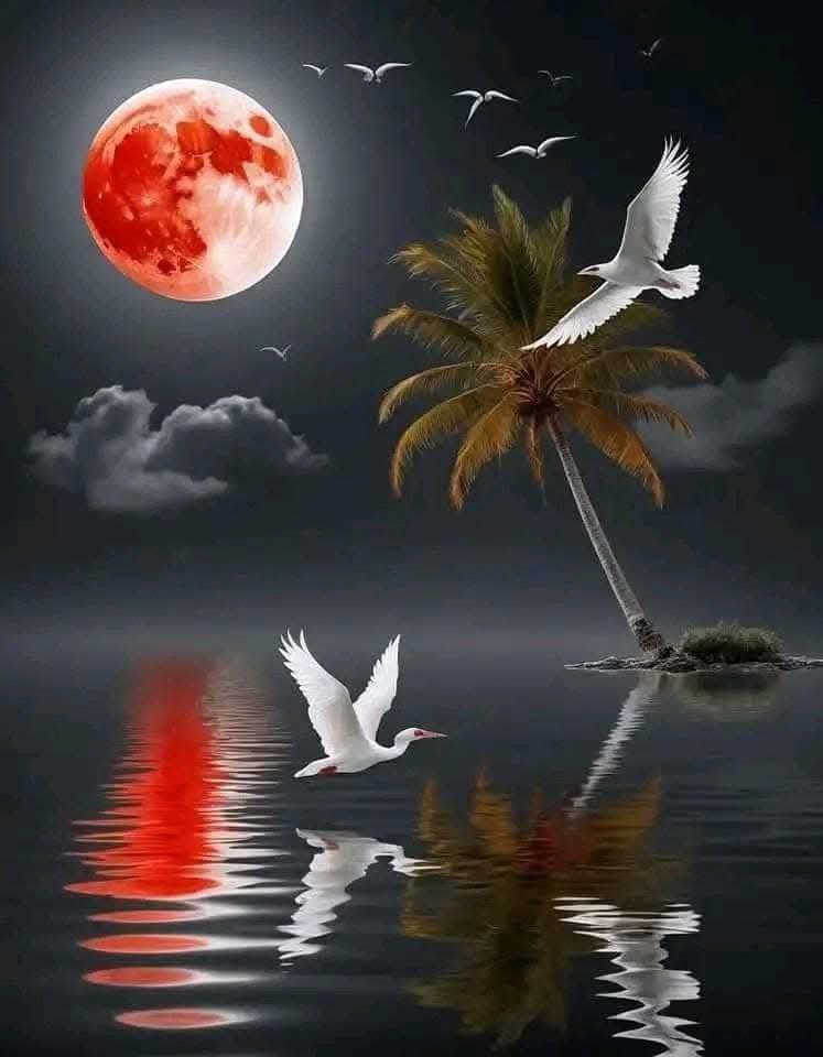 fahdtaj's tweet photo. «   من يغمرك بإهتمامه .....
 اجعل له وطناً في قلبك لا يليق إلا به https://t.co/GoZiRPNGdx