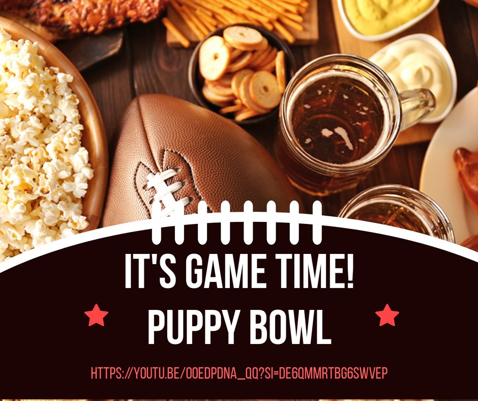 Get ready for some tail-wagging excitement! 🐾🐶 The Puppy Bowl is just around the corner, and we’re all in for Team Ruff! 🎉 Our bets are on Enrique to steal the show! Let the cuteness overload begin! 🥳🏆🐕