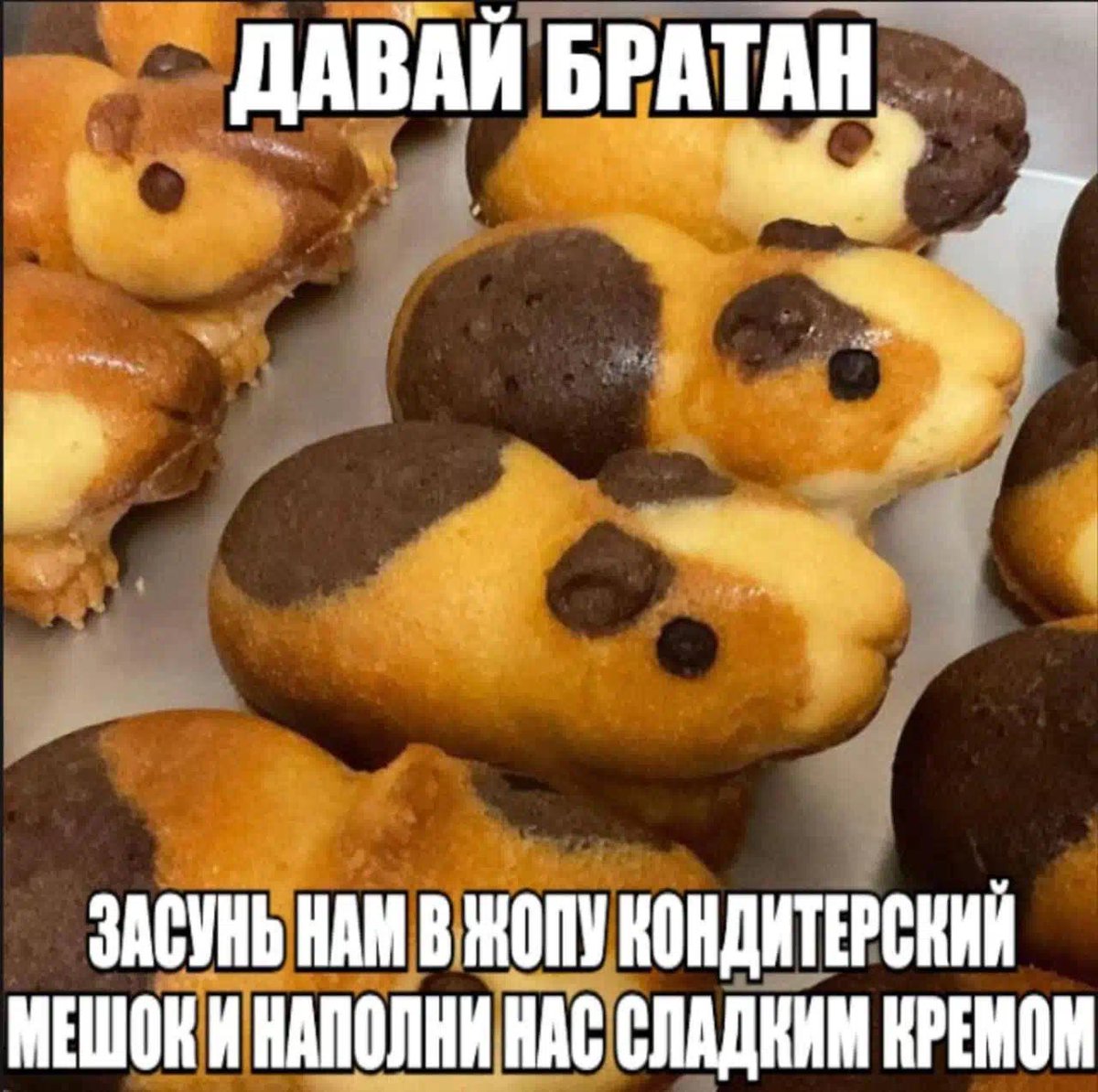 Александр Бочкин (@moonlightprism2) on Twitter photo 