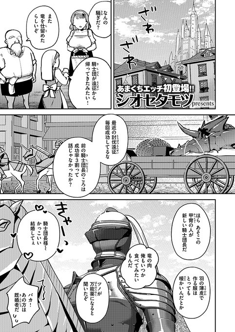 たくましき女騎士団長の夫とは…? (1/2) 