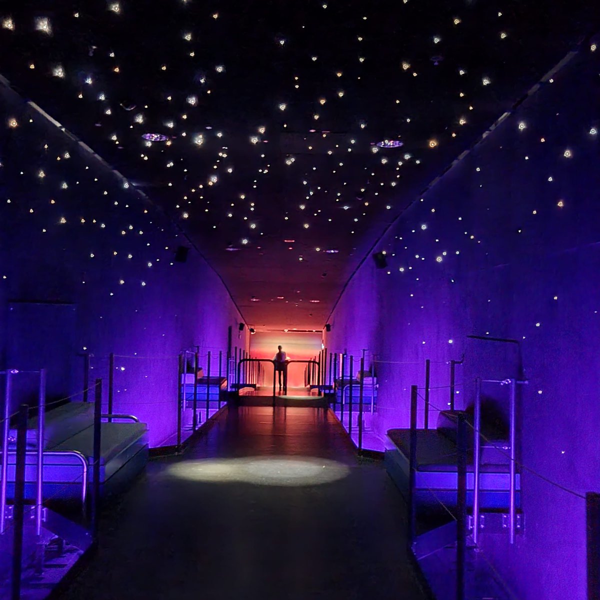 Ein Sternenhimmel, der zum Träumen einlädt. 😇