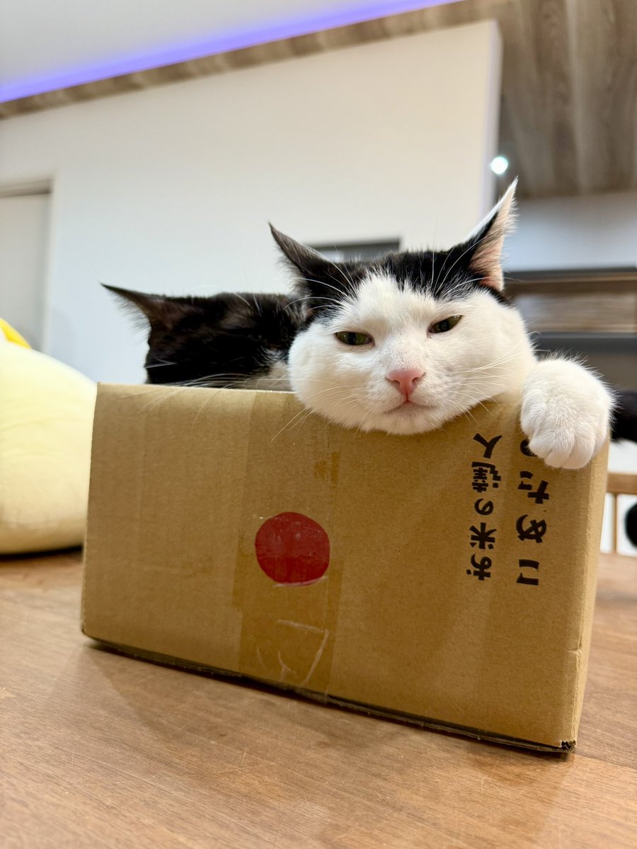 ←昨日            今日→

もっちりしている...！！！