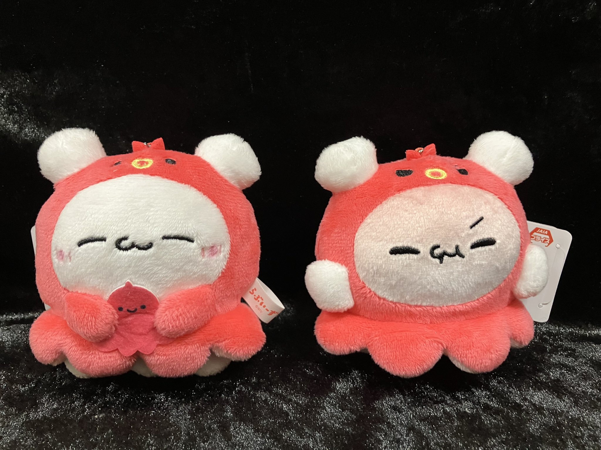 T-ポイント5倍】 らぶいーず ぴょんちー たこさん タコさん T-ポイント5倍】 らぶいーず ぴょんちー たこさん タコさん