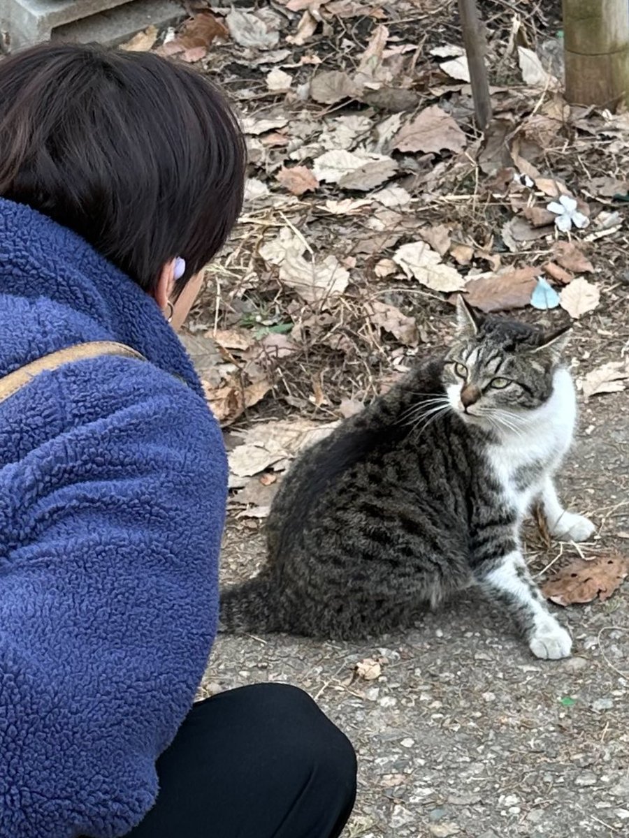 รูปนี้ที่ซองฮุนมาแฮปน้องจองวอนน่ารักมากกกก แมวปะทะแมว แมวเหมือนกันอย่าตีกันเลย555555555555555555555555