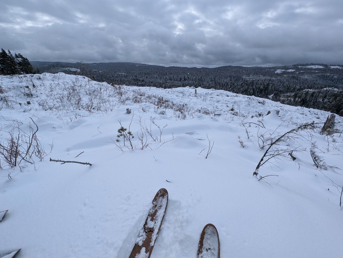 bog_being's tweet image. Lemminkäinen was not worried, / So he answered him abruptly: / "Make a left ski for swift sliding / And a right ski for swift heeling, swift to catch the demon's elk / From the far-back demon country."