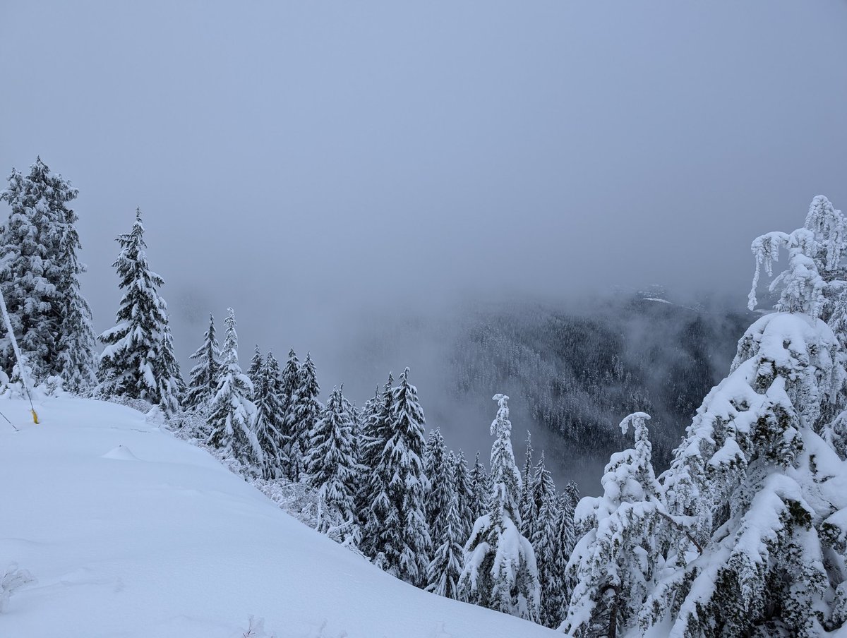 bog_being's tweet image. Lemminkäinen was not worried, / So he answered him abruptly: / "Make a left ski for swift sliding / And a right ski for swift heeling, swift to catch the demon's elk / From the far-back demon country."