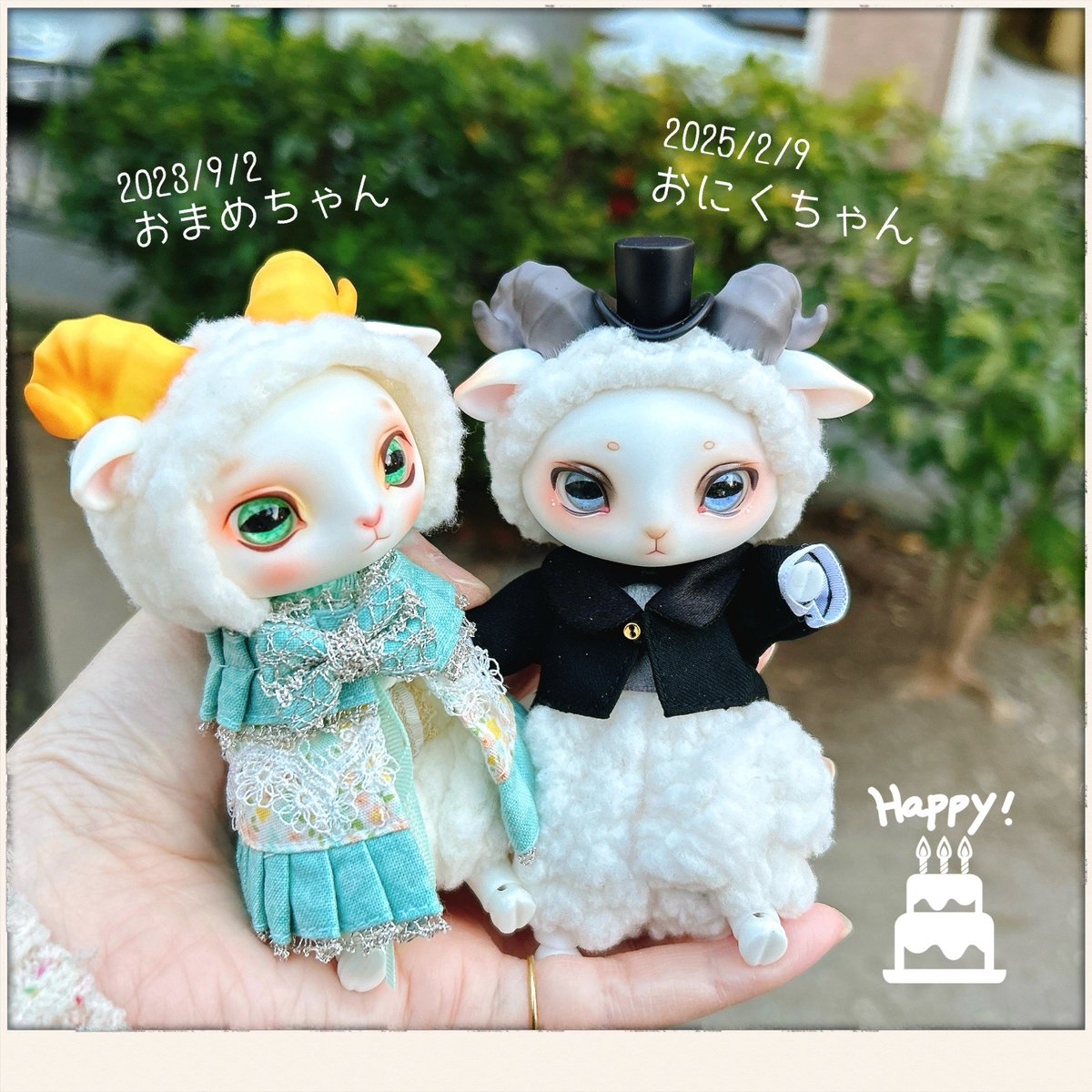marrypie's tweet photo. 家族がふえましたの🐏⸒⸒🐑⸒⸒
たまたまだけどお誕生日が同じ数字の組み合わせになったりして。せっかくなのでおなまえつけました～꙳५✍🏻
#DearMine 
#LORENZbean #豆羊 https://t.co/g3J7W6ZPoK