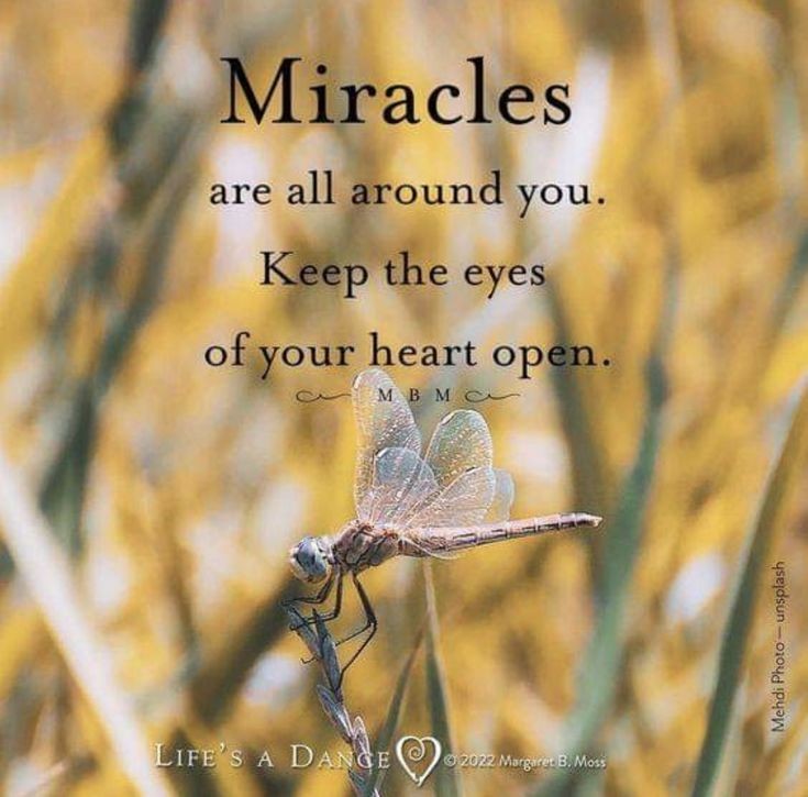 Good morning  beautiful souls  💋💫  Enjoy   your   sunday      🙏