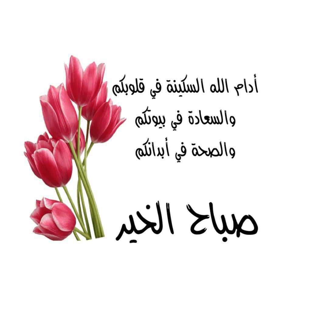 elkholy60's tweet photo. @bebo_rasha https://t.co/rUBgyDzRvZ
